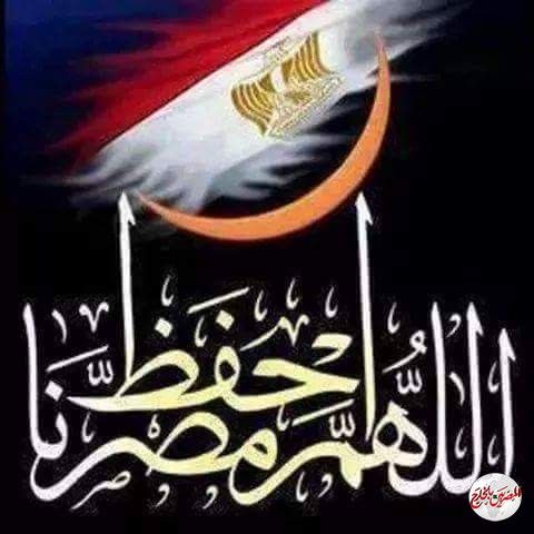 كبسولات يكتبها مجدى المالكى