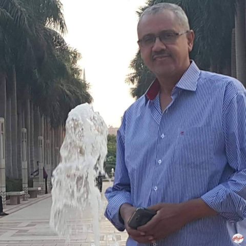 العمارة المصرية المحلية ، واغتراب العمارة