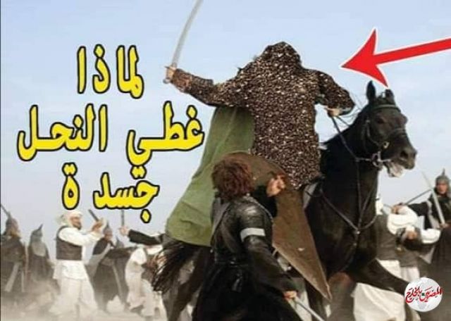 الصحابي الذي حماه الله بجيش من النحل