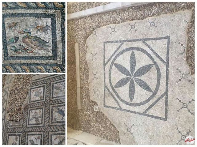 فيلا الطيور شاهد عيان على العصر الروماني بالاسكندرية