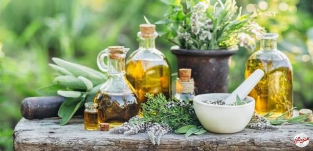 مصطلحات الأعشاب العربية باللهجات الإفريقية