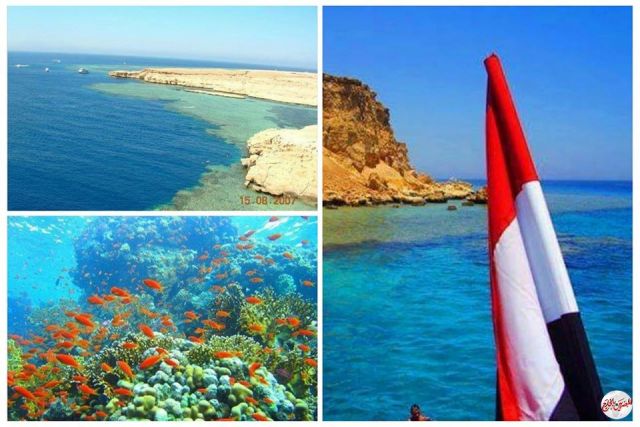 محمية رأس محمد..تحتضن الجبال الطبيعة الساحرة و "جنّة التاريخ" السياحية في شرم الشيخ