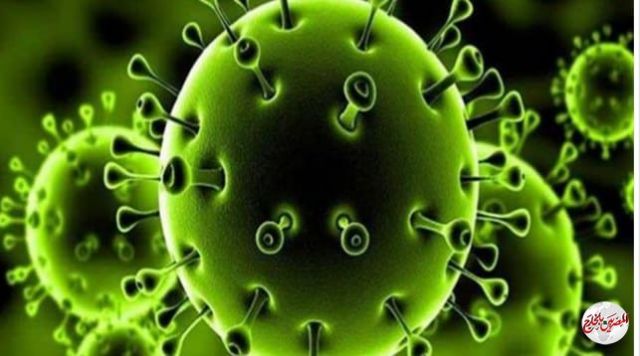 «كورونا »يهاجم 4أعضاء في الجسم غير الرئة