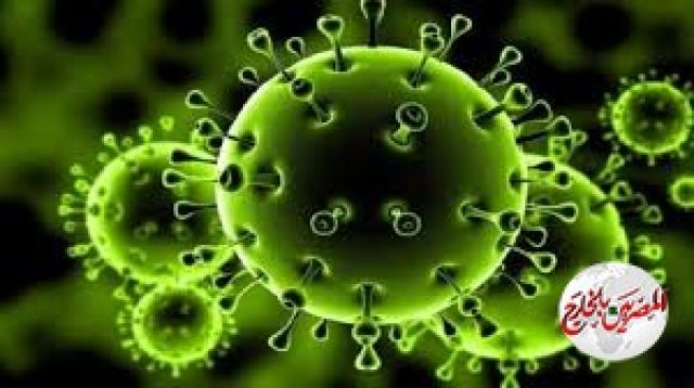 السودان : أمر طوارئ لمواجهة فيروس كورونا وعقوبات للمخالفين