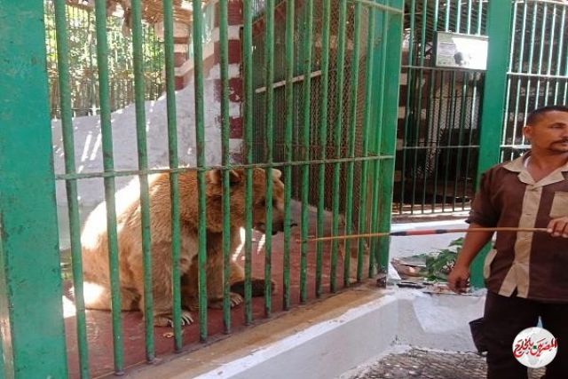 الزراعة تؤكد: غلق حدائق الحيوان والأورمان والأسماك خلال أعياد الربيع