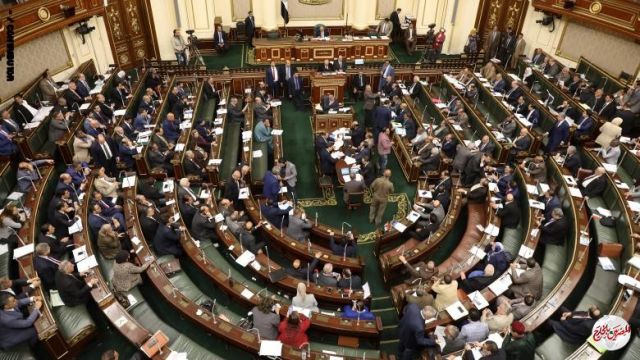  موقعا "تيك توك ولايكي" يدخلان مرمى نيران أعضاء مجلس النواب 