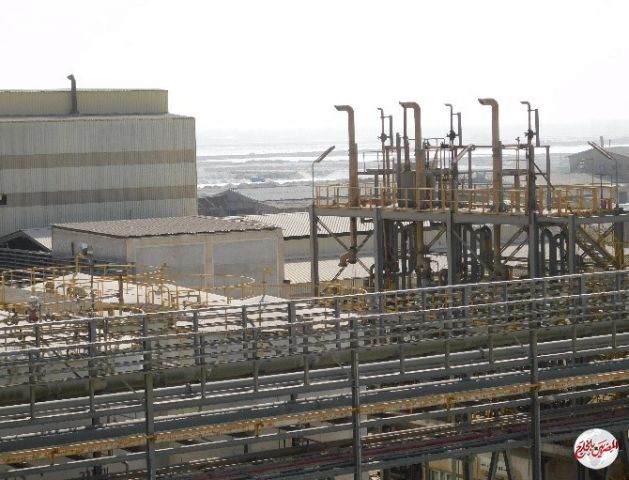 شركة مصر لصناعة الكيماويات ترفع إنتاجها من المطهرات إلى 120 ألف طن سنويا لمواجهة فيروس كورونا