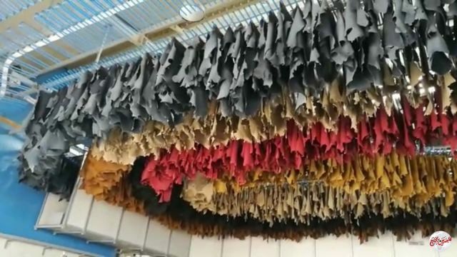 مركز تكنولوجيا دباغة الجلود بالروبيكي ينجح فى دباغة 64 ألف قطعة جلد خلال الربع الاول من العام الجاري