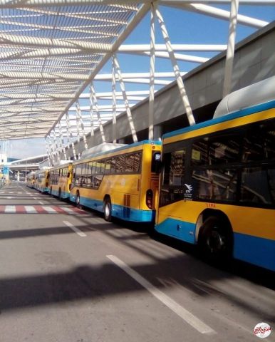 أسطول من الأتوبيسات فى انتظار نقل المصريين العائدين من الكويت إلى الحجر الصحي 