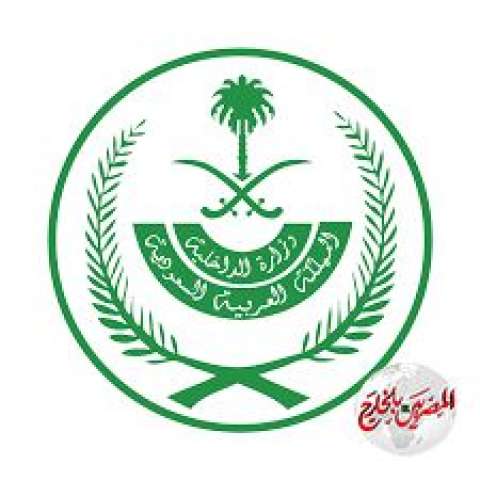 القبض على مواطنَين تورطا بسرقة 15 مركبة بالرياض