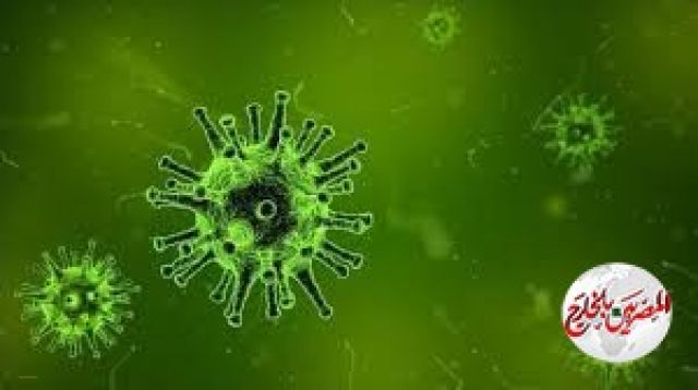 السعودية توافق على إجراء دراسات سريرية للقضاء علي كورونا