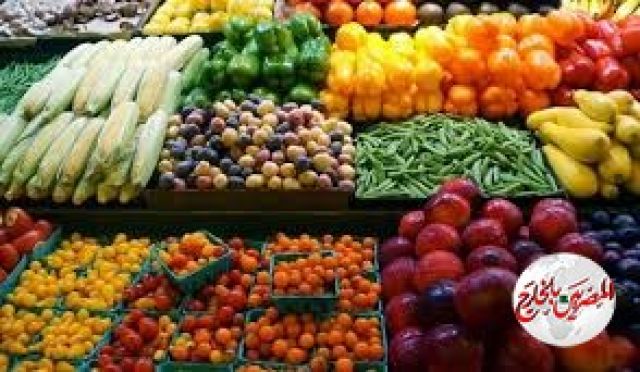 ارتفاع صادرات مصر الزراعية لأكثر من 3 ملايين طن رغم كورونا