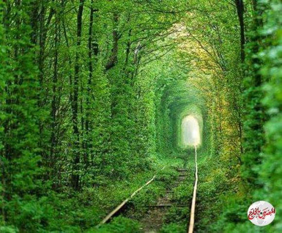 سفر مع وقف التنفيذ