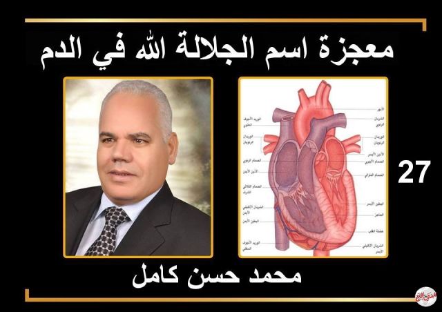 معجزة الدم في جسم الإنسان من القرآن./27......بقلم دكتور محمد حسن كامل