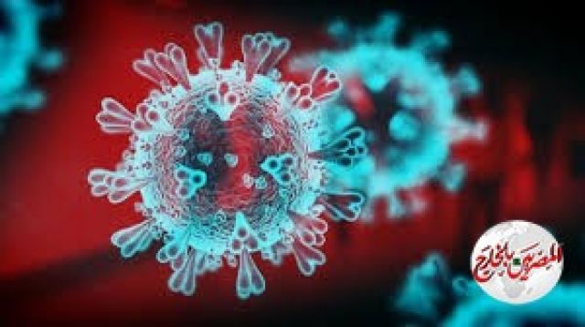 الدول الأوروبية تتخذ قرارات فردية بشأن إعادة فتح حدودها بعد جائحة كورونا