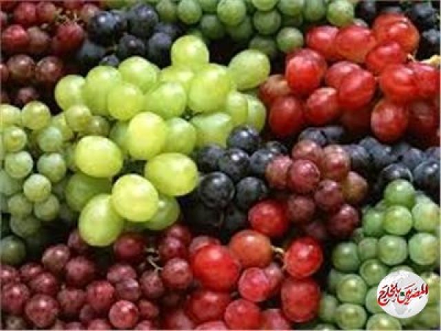 العنب المصري يغزو دول العالم في ظل جائحة كورونا