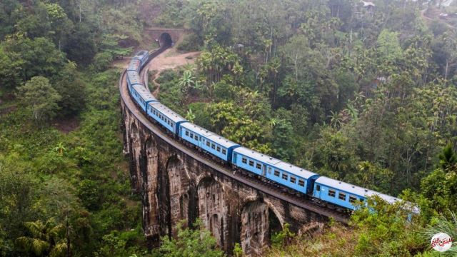 السفارة المصرية بسريلانكا : مد جميع أنواع التأشيرات حتى يوم 11 يونيو 2020