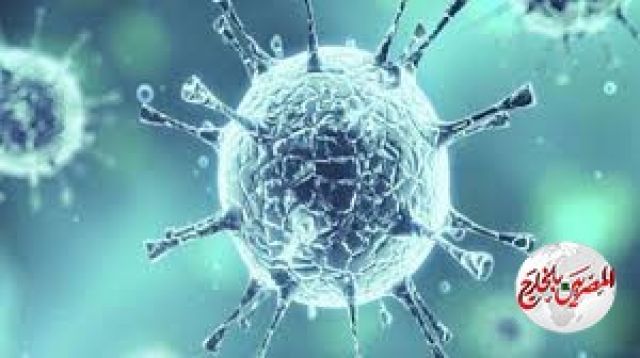 خبيرة أبراج: انخفاض إصابات كورونا بعد شهر يونيو و2021 ستشهد صراعات سياسية