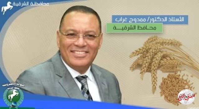 الشرقية تتصدر موسم حصاد القمح بتوريد (651394) طن