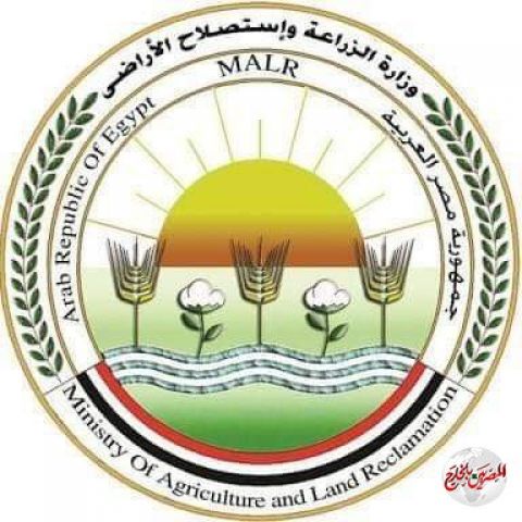 الزراعة تتخذ  الاجراءات الاستباقية لمنع دخول الجراد الصحراوي الحدود المصرية 