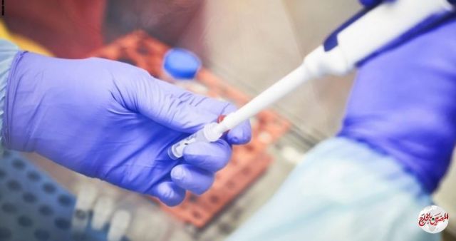 بشري سارة.. دولة عربية تعلن تسجيل “صفر إصابات جديدة” بفيروس كورونا