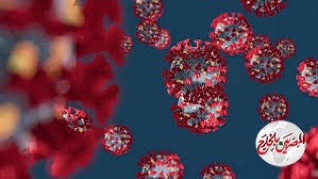 الصحة العالمية: بعض الدول ستشهد زيادات طفيفة في الإصابة بالفيروس