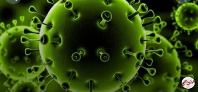 علماء...طفرة "D614G" تمنح كوفيد_19 القدرة علي الإنتشار السريع