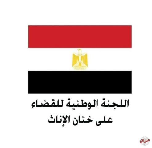 الوطنية للقضاء على ختان الإناث: تجدد تعهدها فى القضاء على هذة الجريمه فى ذكرى اليوم الوطنى