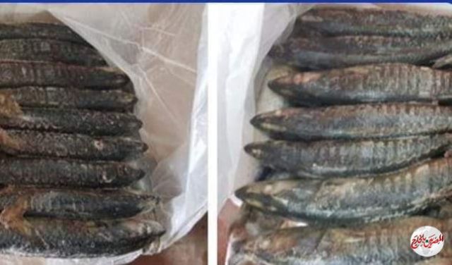 مواصله الحملات التموينيه المكبرة لضبط الاسواق