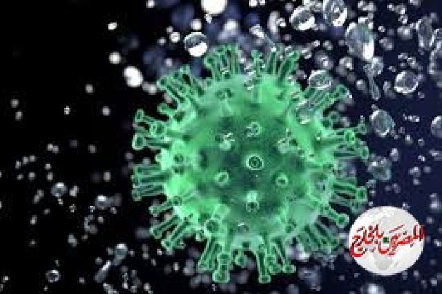 كورونا المكتشف حديثا في بكين أكثر عدوى من كورونا ووهان