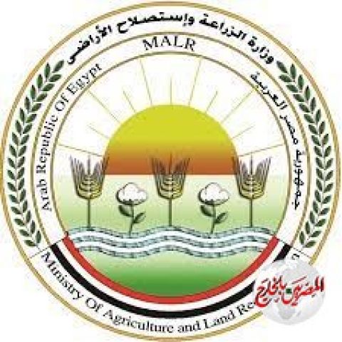 البنك المركزي يمنح تسهيلات لصغار المزراعين والمربين في مجال الدواجن والالبان