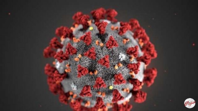 34516 إصابة جديدة بكورونا في الولايات المتحدة خلال 24 ساعة