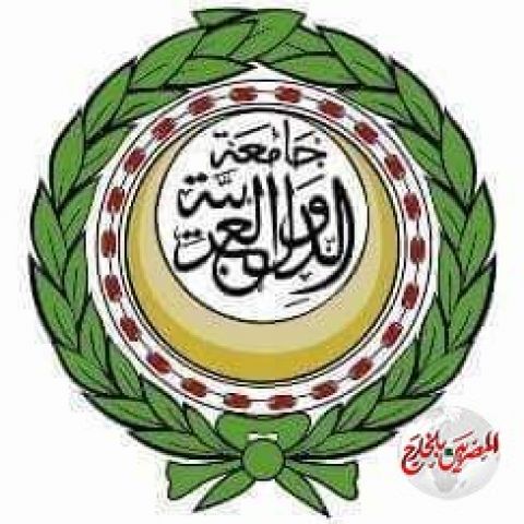 الجامعة العربية تبحث آليات مواجهة الآثار الاجتماعية والإنسانية لجائحة كوفيد 19