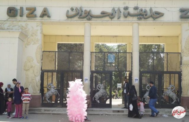 اليوم إعادة فتح جميع حدائق الحيوان .. تعرف علي أهم الضوابط والعروض الجديدة