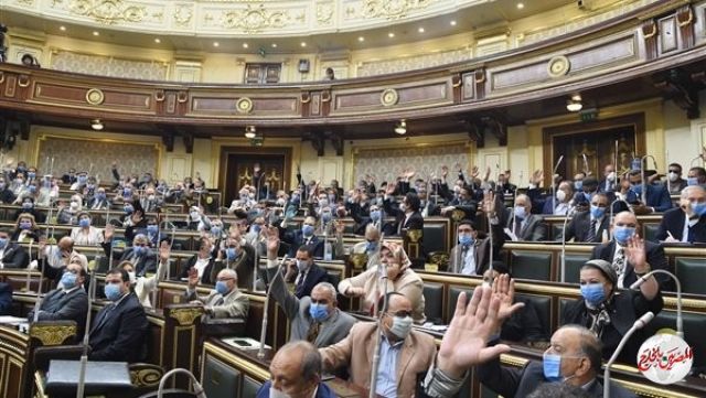 مجلس النواب يوافق نهائيا على قانون رعاية المريض النفسي