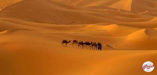 الدكروري يكتب عن "إلا تنصروه فقد نصره الله"