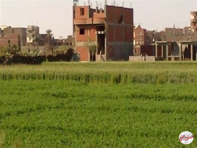 خطر الزحف على الأراضى الزراعيه وتحويلها لابراج سكنية