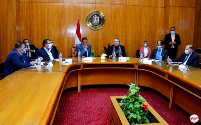 المصريين بالخارج