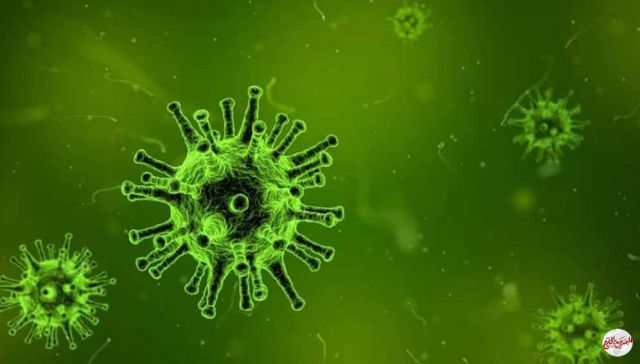 "سبوتنيك": روسيا ترسل 8 أطنان من المساعدات الإنسانية لجمهورية إفريقيا الوسطى