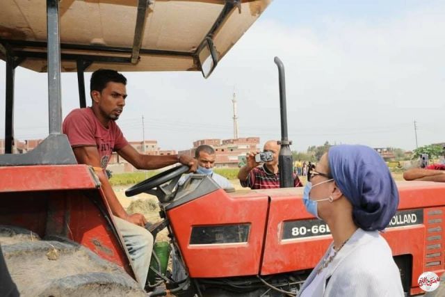 المصريين بالخارج