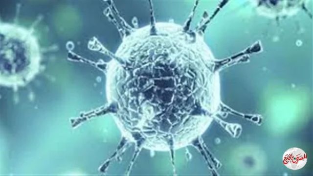 استشاري مناعة: تزايد إصابات كورونا في مصر مع قرب الشتاء