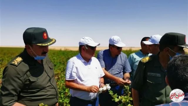 وزير قطاع الأعمال يتفقد تجربة زراعة القطن قصير التيلة بشرق العوينات