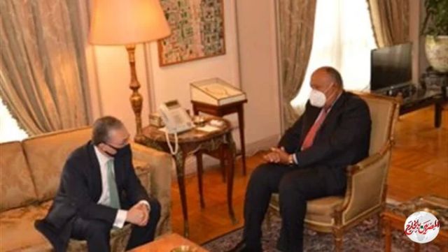 المصريين بالخارج