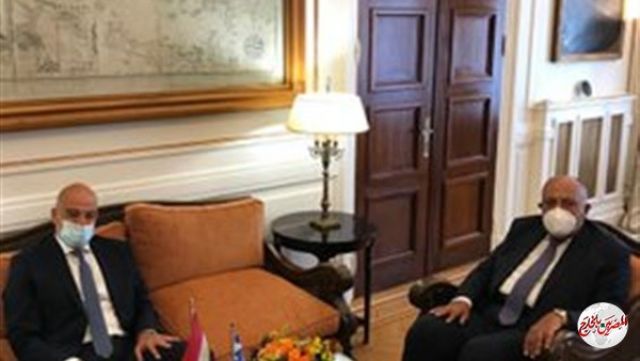 شكري: مصر ترفض جميع أعمال زعزعة الاستقرار في شرق البحر المتوسط