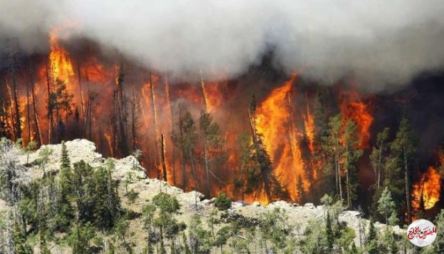 بسبب حرائق الغابات .. دخان عظيم يغطى أمريكا من الساحل الغربى إلى الشرقى