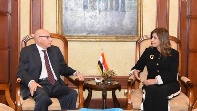 المصريين بالخارج