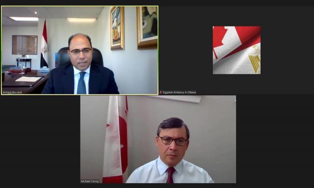 المصريين بالخارج