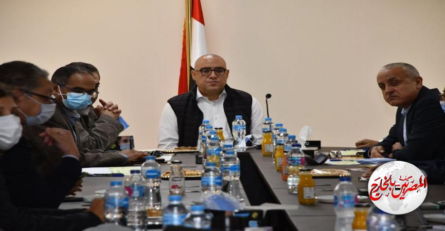 المصريين بالخارج