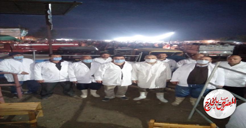 المصريين بالخارج