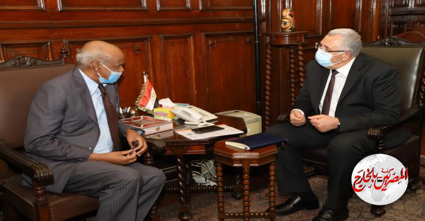 المصريين بالخارج